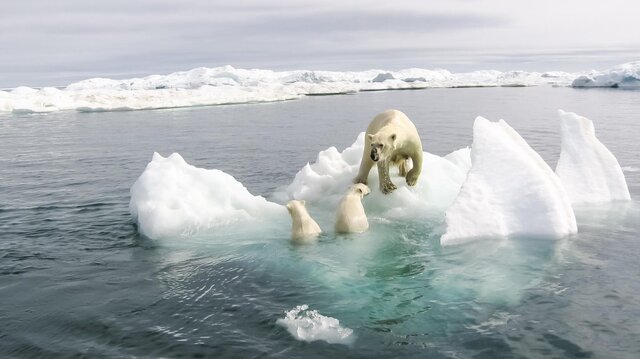 چرا قطب شمال سریعتر از بقیه سیاره ما گرم می‌شود؟